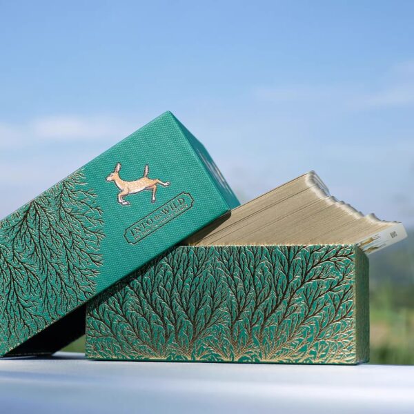 Into the Wild Tarot 塔羅牌 + 神喻卡 100張 - Image 6