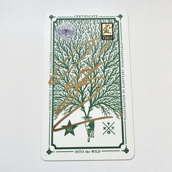 Into the Wild Tarot 塔羅牌 + 神喻卡 100張 - Image 12