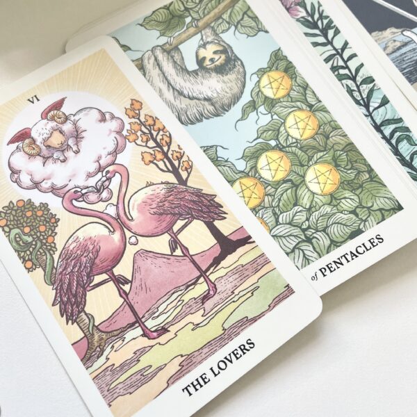 Into the Wild Tarot 塔羅牌 + 神喻卡 100張 - Image 2